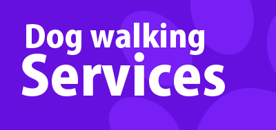 dog walking services